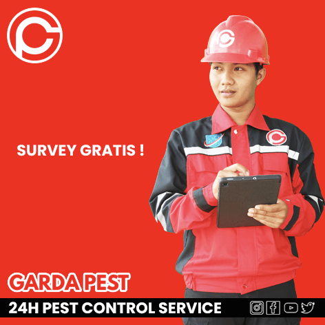 Basmi Rayap Jakarta
