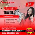 Jasa Pembasmi Sarang Tawon Palu Jasa Pembasmi Tawon di Bandung