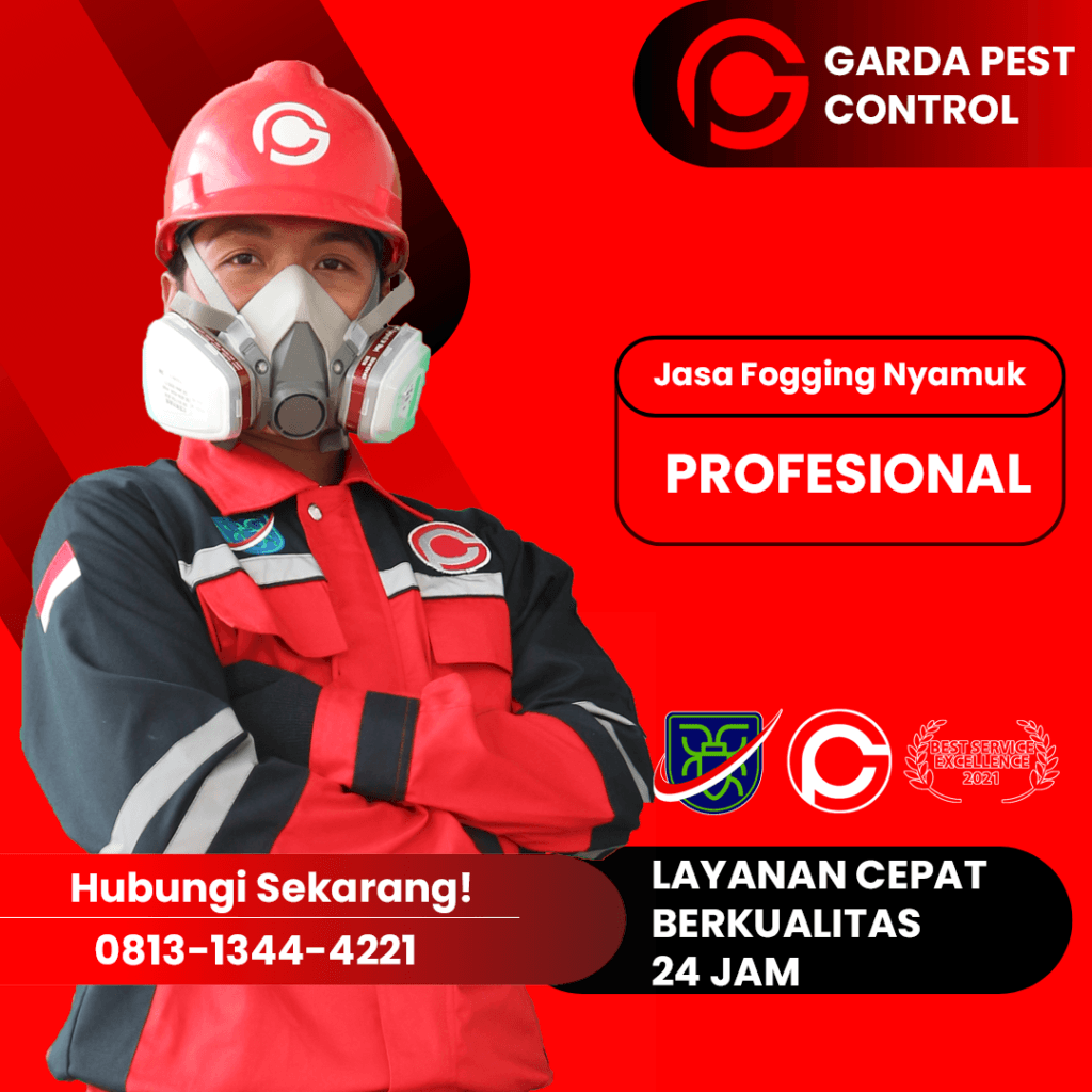 Jasa Pembasmi Tikus Jogja