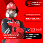 Jasa Pembasmi Tikus Jogja Garda Pest Control Cabang Cimahi Kota