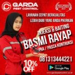 Biaya Jasa Anti Rayap Yogyakarta Jasa Pembasmi Rayap Jakarta