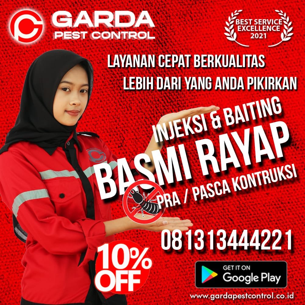 Suntik Anti Rayap Lombok