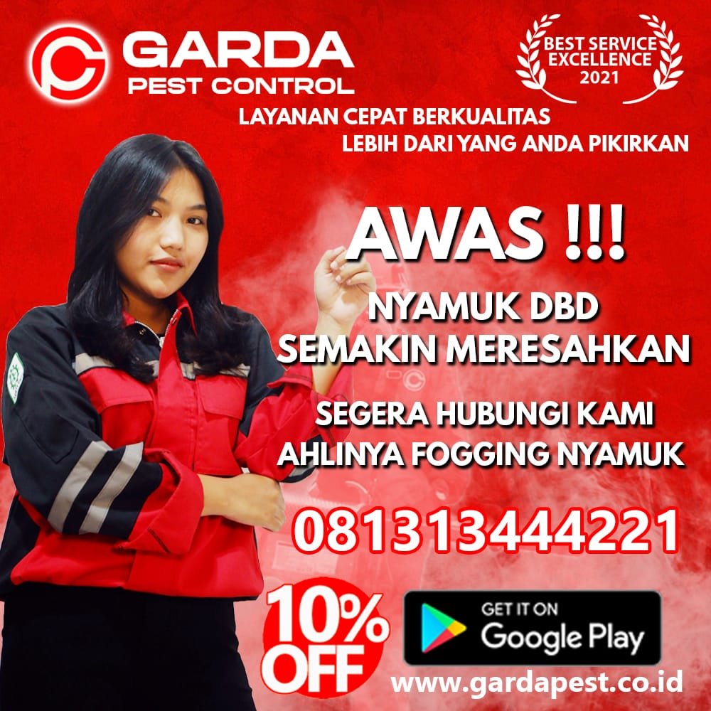 Fogging Nyamuk Demam Berdarah Tangerang