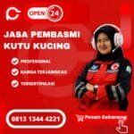 Jasa Pembasmi Kutu Kucing Terdekat Jasa Pembasmi Kutu Kucing di Jogja