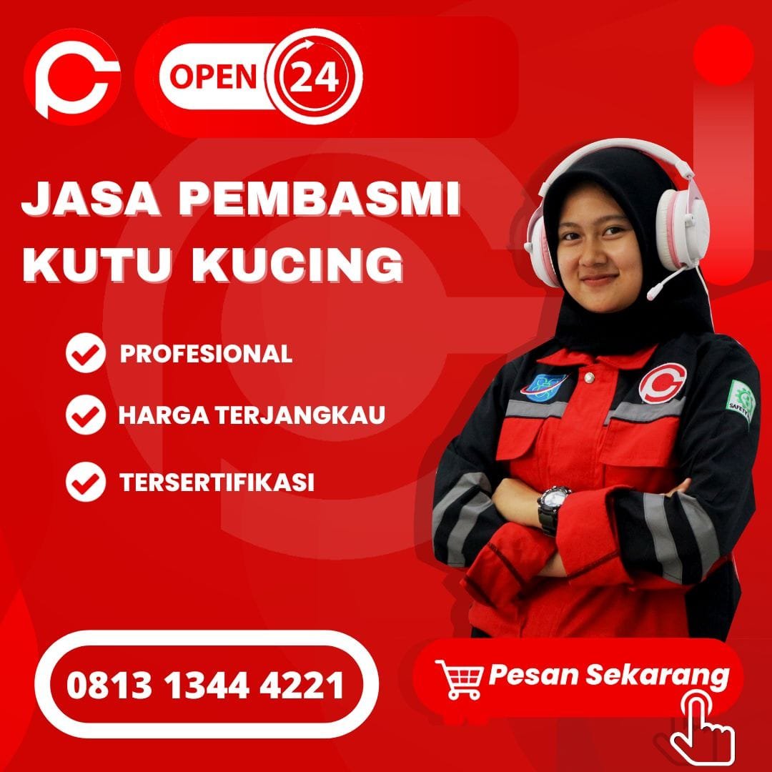 Jasa Pembasmi Kutu Kucing Terdekat