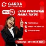 Jasa Pembasmi Tikus di Manado Jasa Pengusir Tikus Bekasi Barat