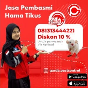 Jasa Pembasmi Tikus di Yogyakarta