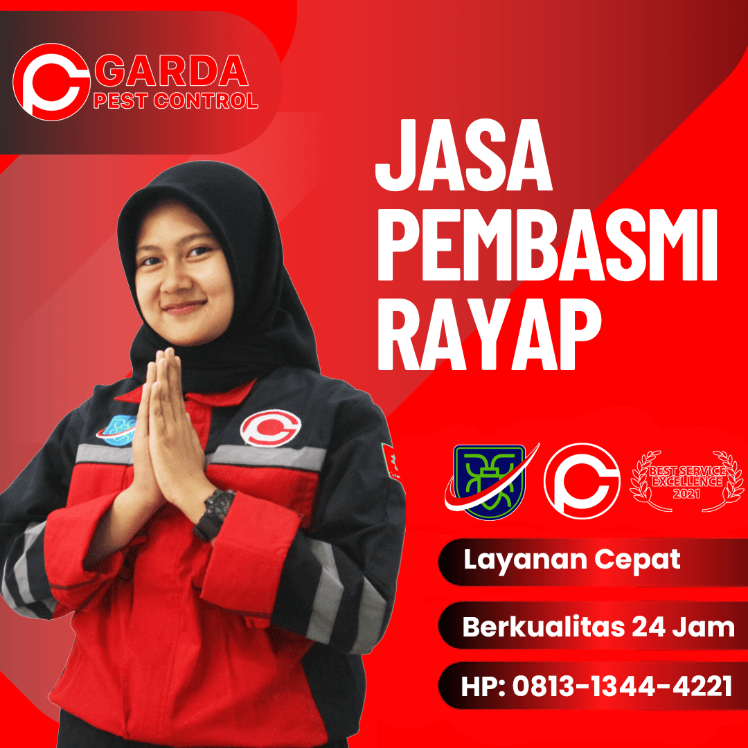 Jasa Penyemprotan Rayap di Yogyakarta