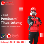 Jasa Membasmi Tikus Loteng Rumah Murah