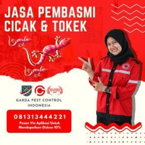 Jasa Pembasmi Cicak Jogja