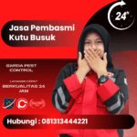 Jasa Pembasmi Kutu Busuk Bandung 24 Jam