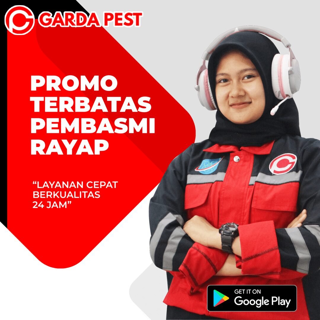 Jasa Anti Rayap di Semarang