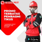 Jasa Pengusir Tikus Bekasi Barat