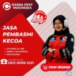 Jasa Pembasmi Kecoa Surabaya