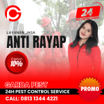 Termite Control Jasa Anti rayap terdekat
