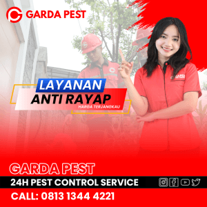 Jasa Anti Rayap Mijen Semarang Termurah