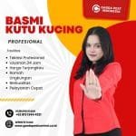 pembasmi kutu kucing bandung terdekat