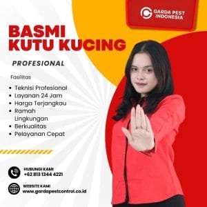 Jasa Pembasmi Kutu Kucing Area BSD Tangerang