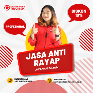 Harga Jasa Pembasmi Rayap di Jogja Kota