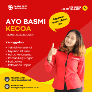 Jasa Pembasmi Kecoa di Denpasar