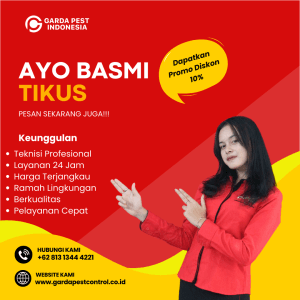 Jasa Pembasmi Tikus Denpasar