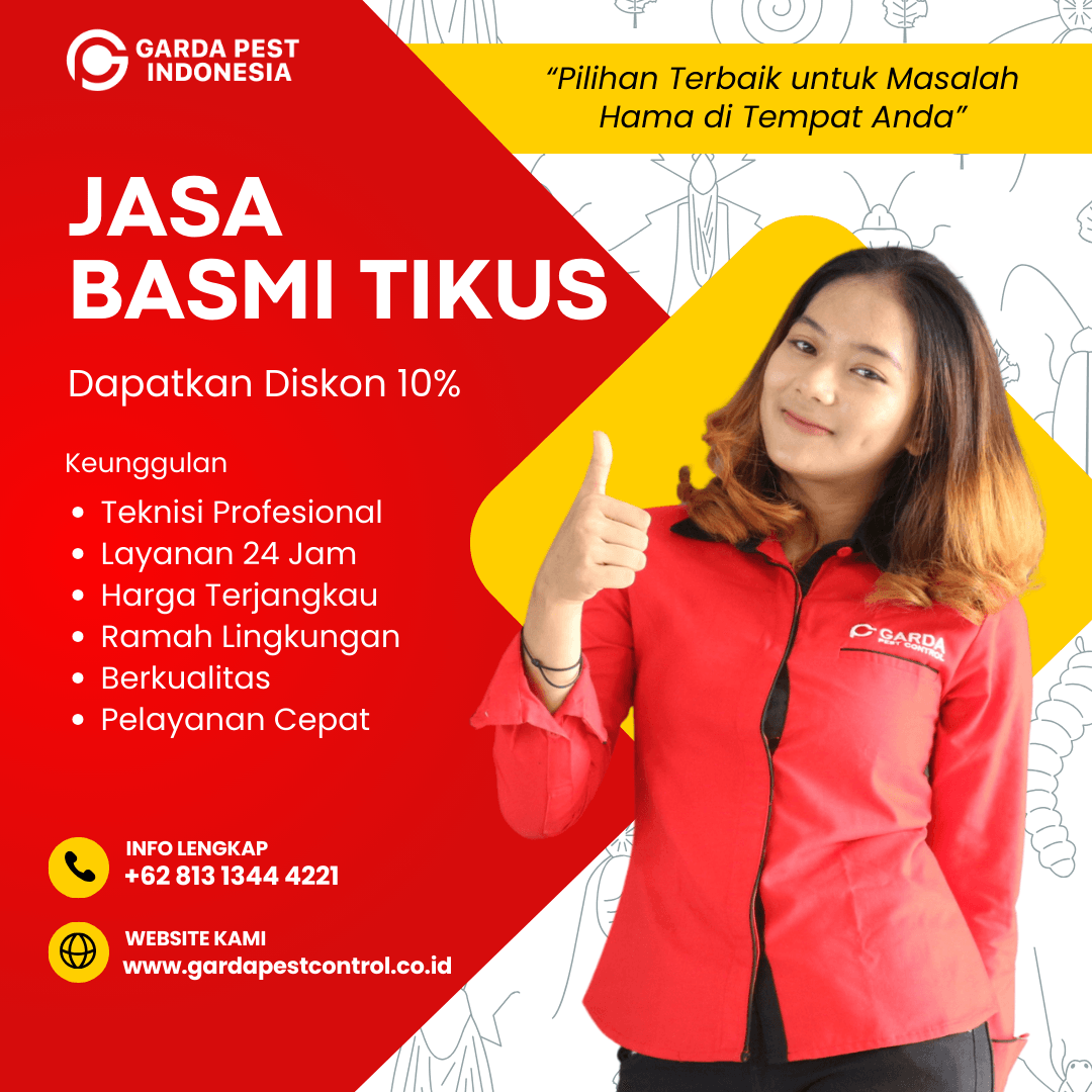 Jasa Basmi Tikus Bali