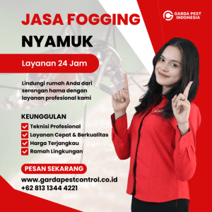 Jasa Fogging Nyamuk Chikungunya di Bandung