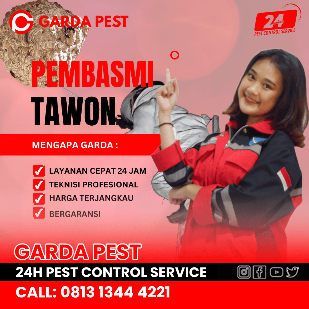 Jasa Pembasmi Tawon Terdekat