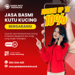 Jasa Pembasmi Kutu Kucing Area Surabaya Jasa Pembasmi Kutu Kucing Terdekat