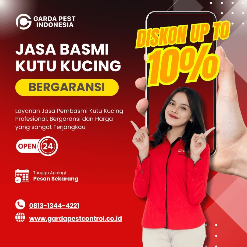Jasa Pembasmi Kutu Kucing di Bandung