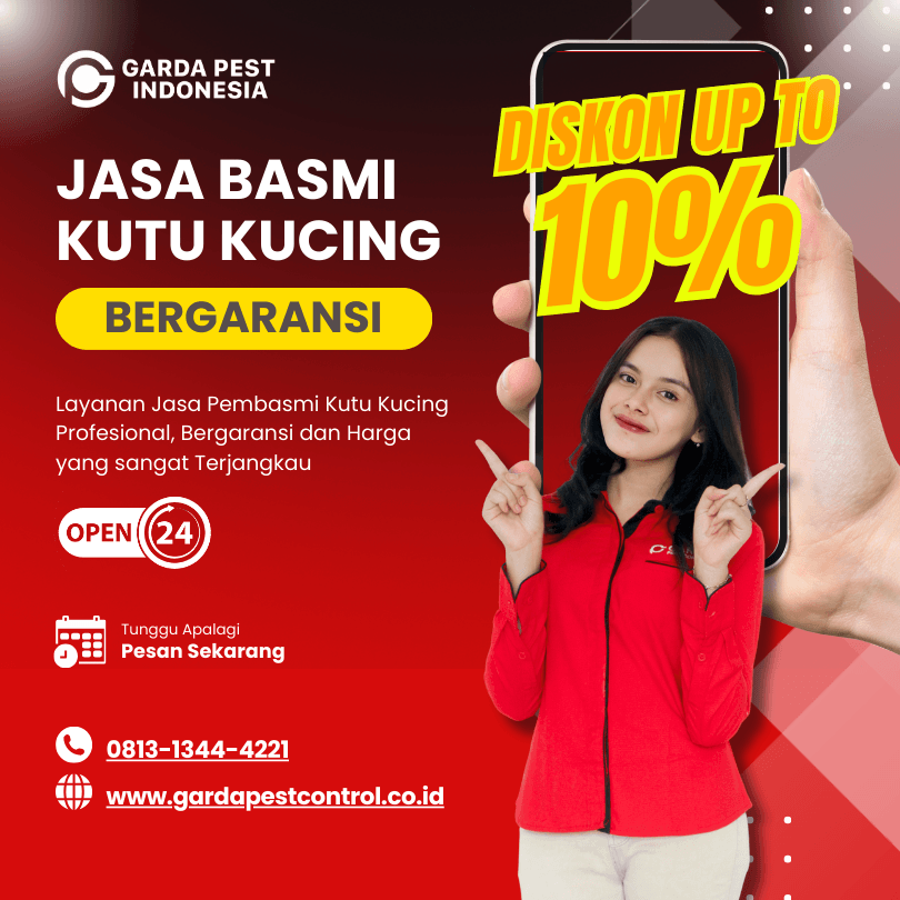 Jasa Pembasmi Kutu Kucing di Bandung