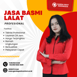 Jasa Pembasmi Lalat di Bandung