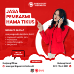 Jasa Pembasmi Tikus Bogor Jasa Pembasmi Tikus di Rumah