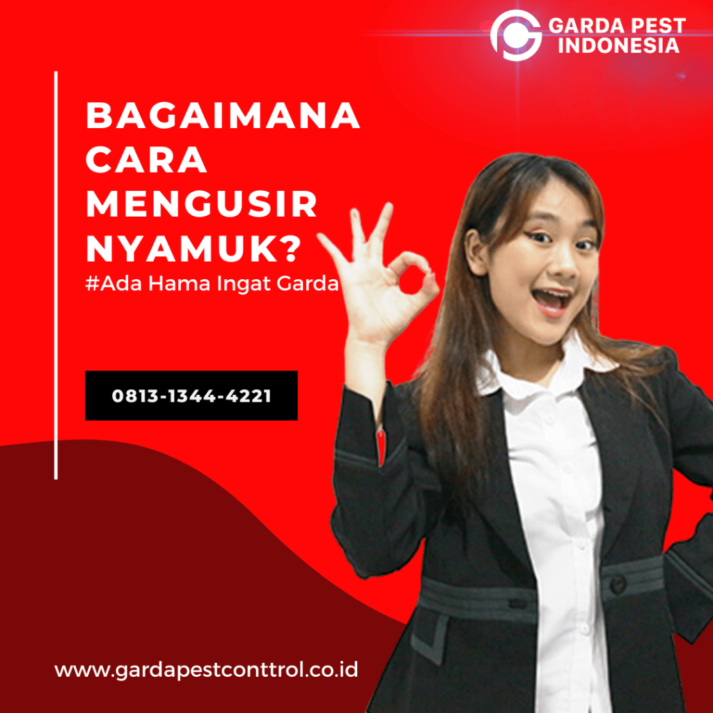 Cara Membasmi Nyamuk Secara Alami: Rumah Nyaman Tanpa Nyamuk