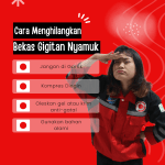 Cara Menghilangkan Bekas Gigitan Nyamuk