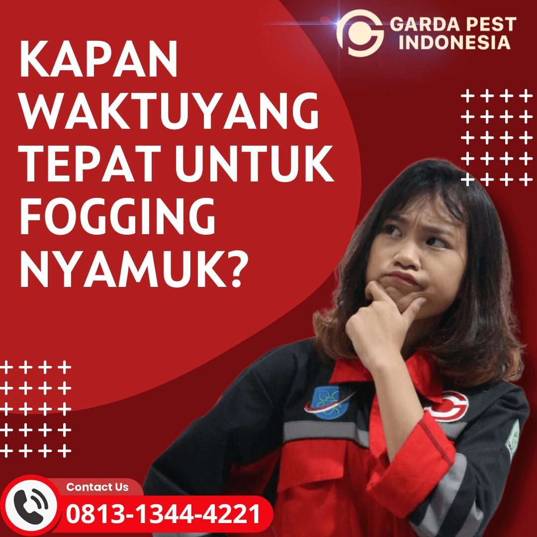Biaya Fogging 1 RT Lebih Murah