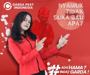 Nyamuk Tidak Suka Bau Apa