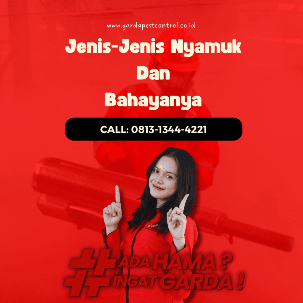 Cara Membasmi Nyamuk Secara Alami: Rumah Nyaman Tanpa Nyamuk