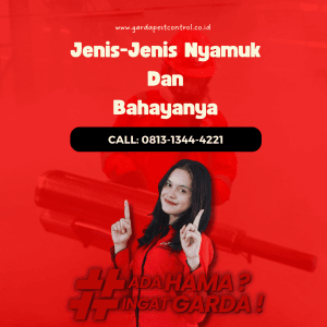 jenis jenis nyamuk dan bahayanya
