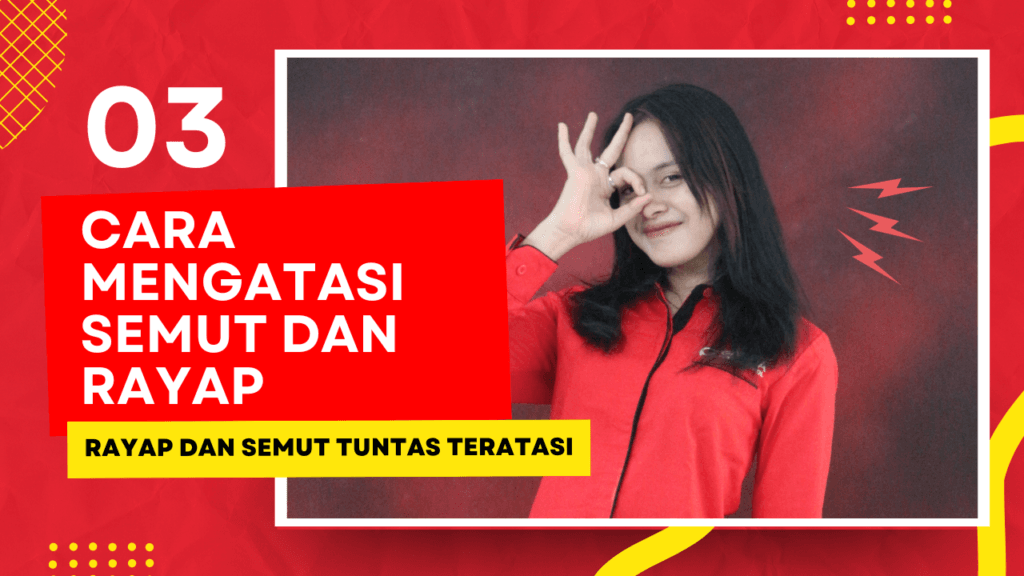 3 Cara mengatasi semut dan rayap