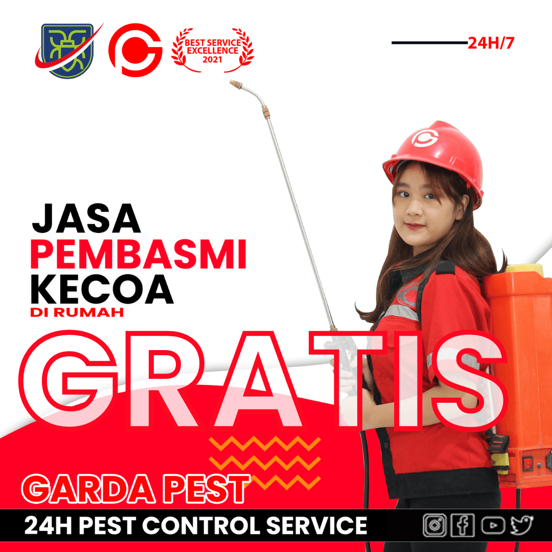 Jasa Pembasmi Kecoa Mobil Jogja Kota