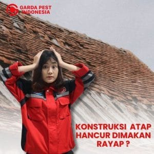 Jasa Pembasmi Rayap Semarang