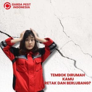 Jasa Pembasmi Rayap Semarang