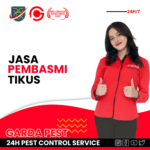Jasa Pembasmi Tikus Terdekat Jasa Pembasmi Tikus Terdekat