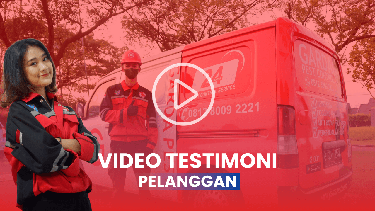 Video Testimoni Jasa Fogging Nyamuk Surakarta