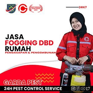 Jasa Fogging Cilacap 24 Jam