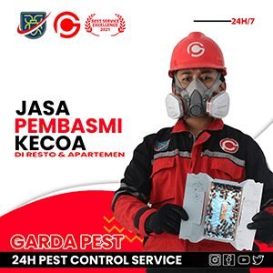 Jasa Pembasmi Kecoa di Apartemen 24 jam