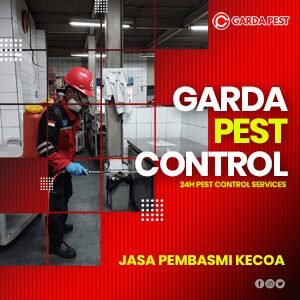 Jasa Pembasmi Kecoa di Bantul Jogja