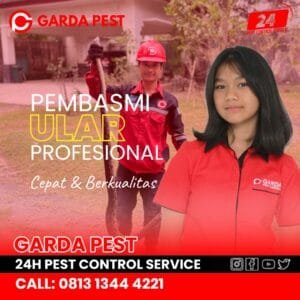 Jasa Pembasmi Ular di Bali Garda Pest Control Bali