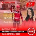 Jasa Pembasmi Ular di Bali Jasa Pawang Ular Bandung 24 Jam